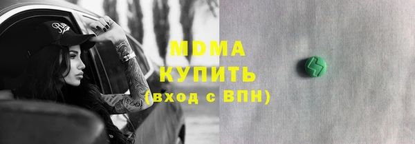 гидра Горняк