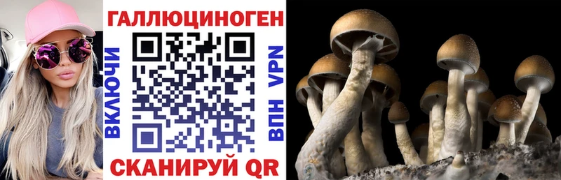 Псилоцибиновые грибы Psilocybine cubensis  даркнет Telegram  Александровск-Сахалинский 